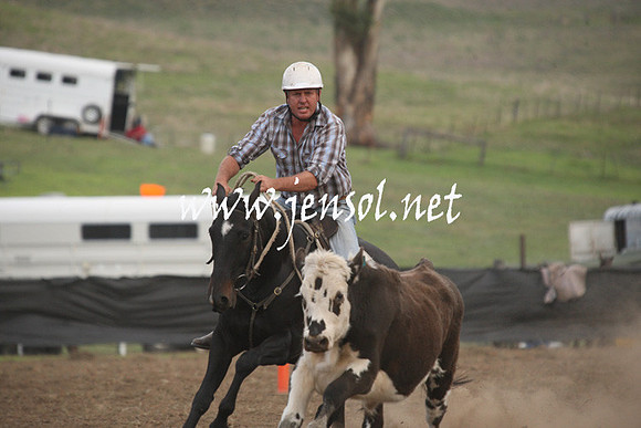 CabanandraCampdraft2013_1D_1513