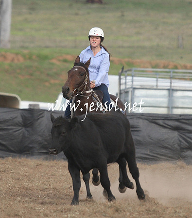 CabanandraCampdraft2013_1D_1245