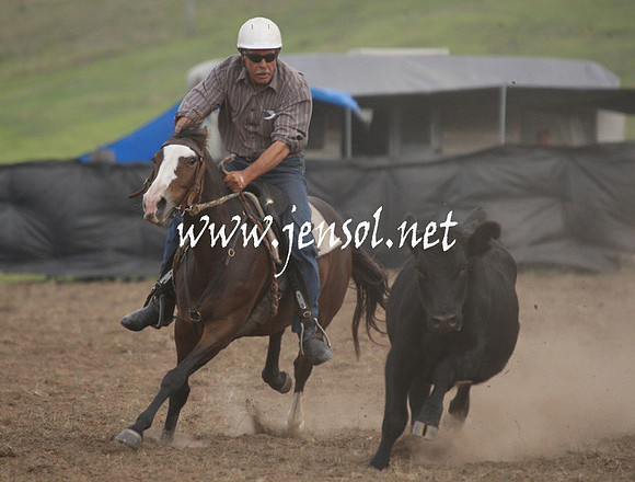 CabanandraCampdraft2013_1D_1368