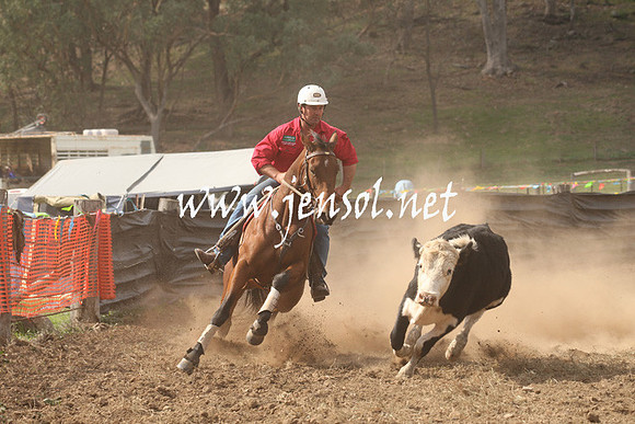 CabanandraCampdraft2013_1D_1194