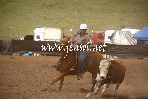 CabanandraCampdraft2013_1D_1196