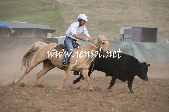 CabanandraCampdraft2013_1D_1237