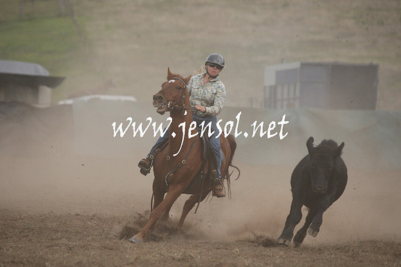CabanandraCampdraft2013_1D_1336