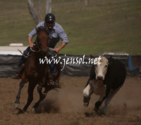 CabanandraCampdraft2013_1D_1086