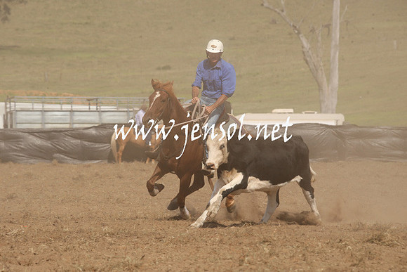 CabanandraCampdraft2013_1D_1122