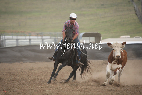 CabanandraCampdraft2013_1D_1346