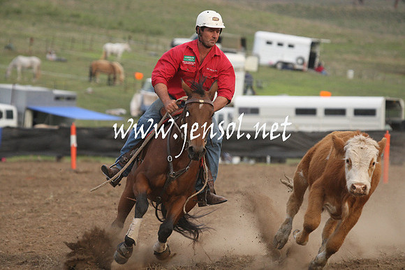 CabanandraCampdraft2013_1D_1549