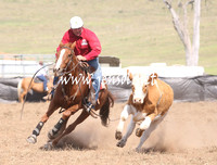CabanandraCampdraft2013_1D_1108