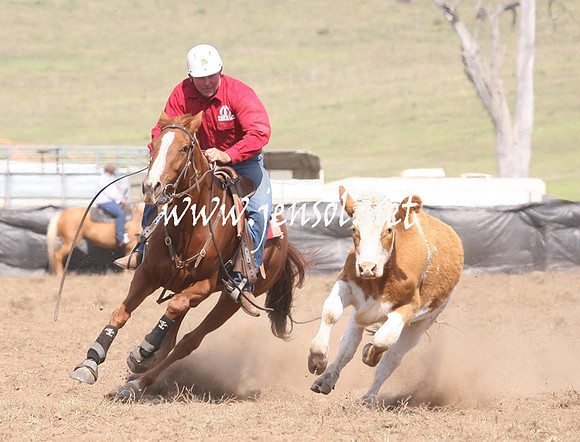 CabanandraCampdraft2013_1D_1108