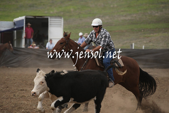 CabanandraCampdraft2013_1D_1204