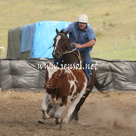 CabanandraCampdraft2013_1D_1279