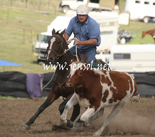 CabanandraCampdraft2013_1D_1287