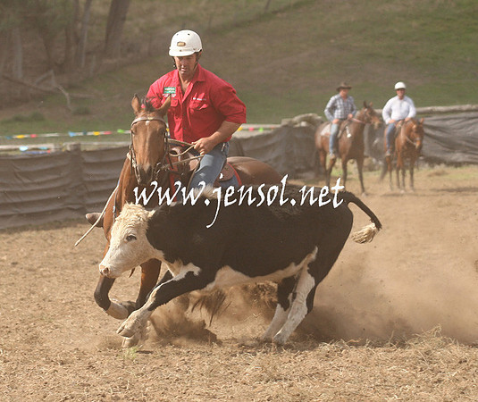 CabanandraCampdraft2013_1D_1185
