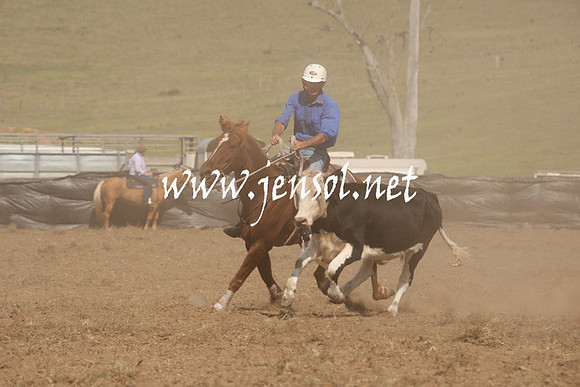 CabanandraCampdraft2013_1D_1120