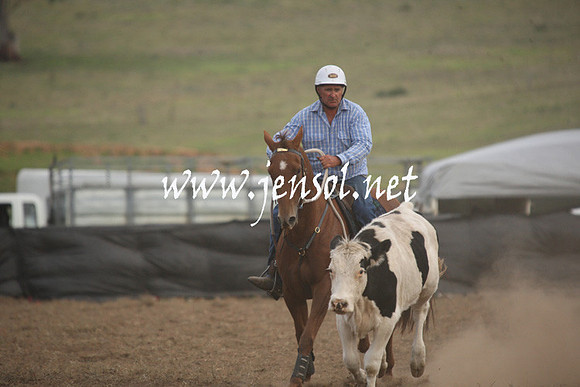 CabanandraCampdraft2013_1D_1492