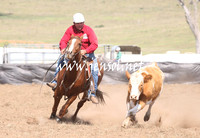 CabanandraCampdraft2013_1D_1112