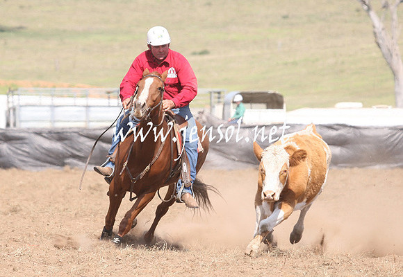CabanandraCampdraft2013_1D_1112