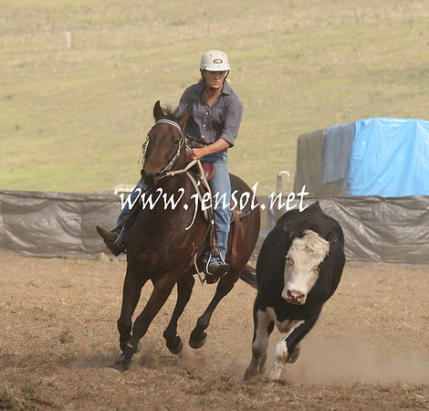 CabanandraCampdraft2013_1D_1300