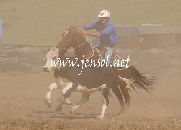 CabanandraCampdraft2013_1D_1121