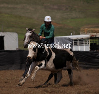 CabanandraCampdraft2013_1D_1068