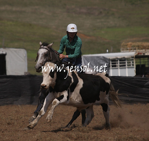 CabanandraCampdraft2013_1D_1068