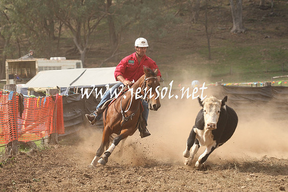 CabanandraCampdraft2013_1D_1195