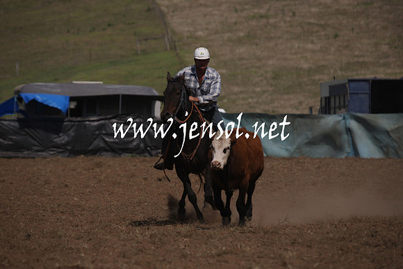CabanandraCampdraft2013_1D_1092