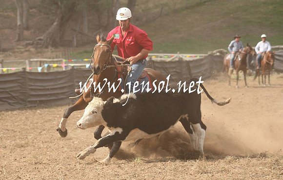 CabanandraCampdraft2013_1D_1188