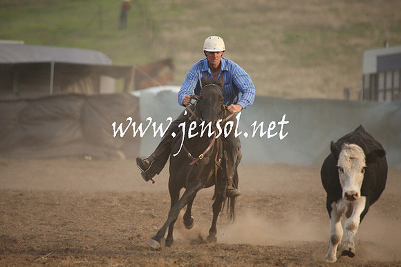 CabanandraCampdraft2013_1D_1573