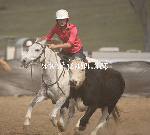 CabanandraCampdraft2013_1D_1136
