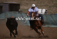 CabanandraCampdraft2013_1D_1095
