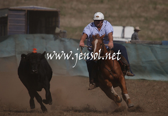CabanandraCampdraft2013_1D_1095