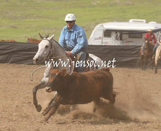CabanandraCampdraft2013_1D_1173