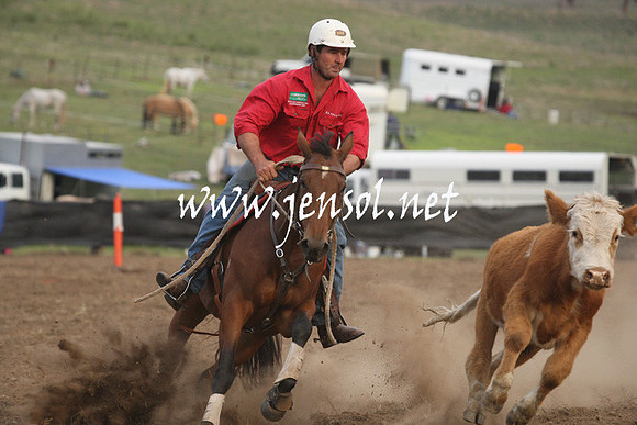CabanandraCampdraft2013_1D_1550