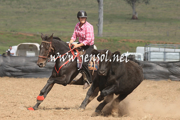 CabanandraCampdraft2013_1D_1151