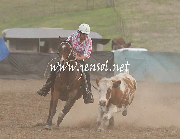 CabanandraCampdraft2013_1D_1499