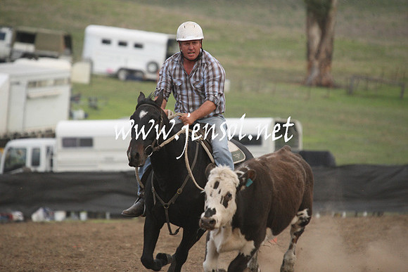 CabanandraCampdraft2013_1D_1517