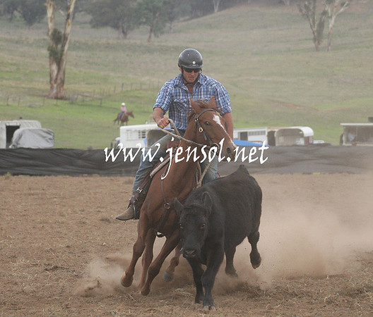 CabanandraCampdraft2013_1D_1481