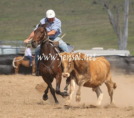 CabanandraCampdraft2013_1D_1148