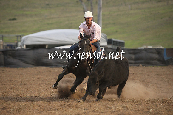 CabanandraCampdraft2013_1D_1561
