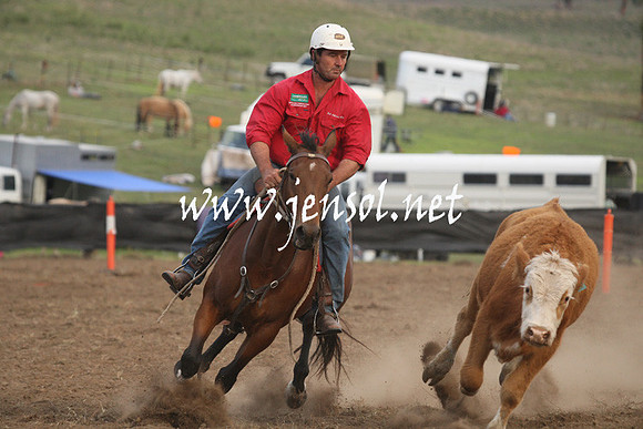 CabanandraCampdraft2013_1D_1551