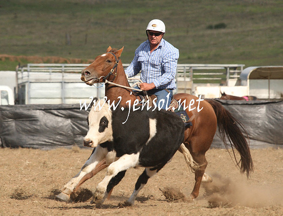 CabanandraCampdraft2013_1D_1266