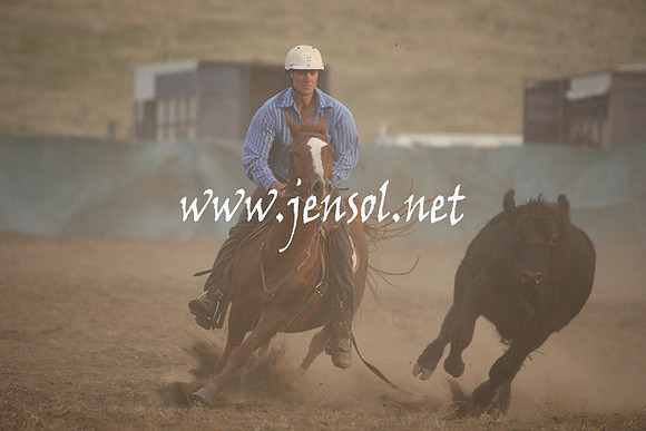CabanandraCampdraft2013_1D_1585