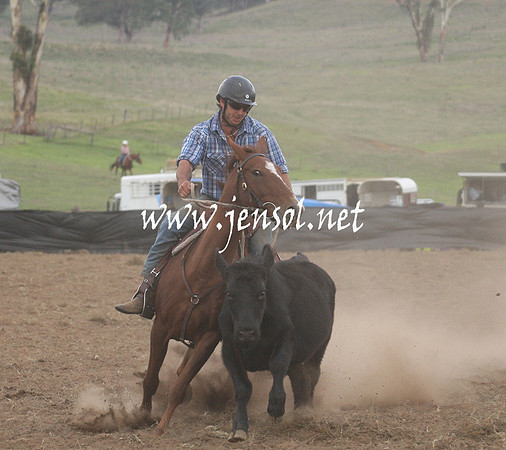 CabanandraCampdraft2013_1D_1479