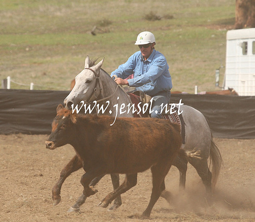 CabanandraCampdraft2013_1D_1171