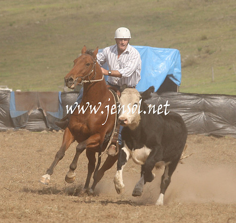 CabanandraCampdraft2013_1D_1158