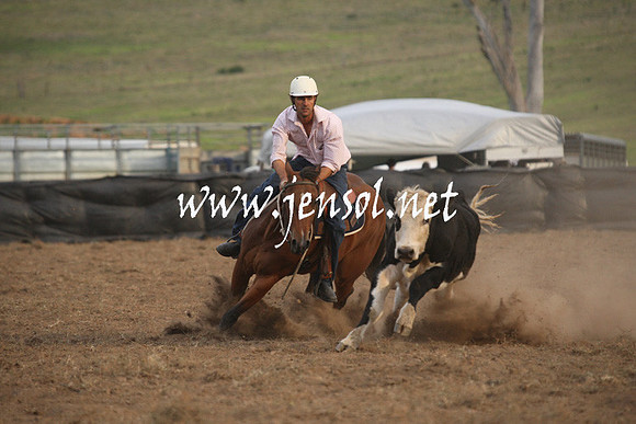 CabanandraCampdraft2013_1D_1580