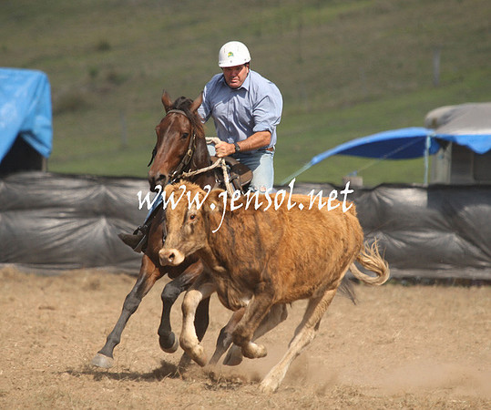 CabanandraCampdraft2013_1D_1146
