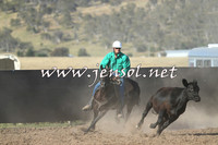 AdaminabyCampdraft2014_1002-1