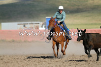 AdaminabyCampdraft2014_1023-1